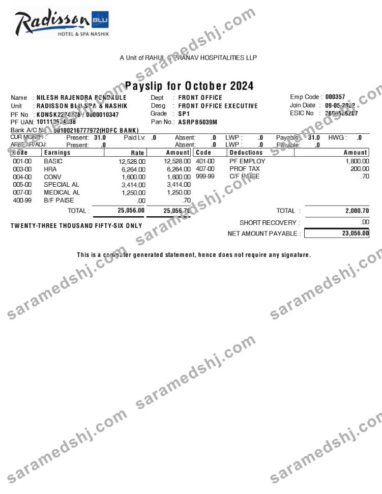 Radisson Blu Hotel & Spa payslip template in Word and PDF formats.pdf, 1